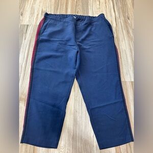 Old Navy Navy Blue Pants with Red Stripe